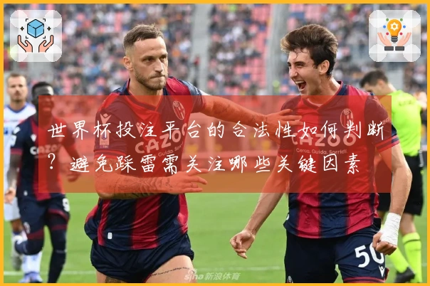 世界杯投注平台的合法性如何判断？避免踩雷需关注哪些关键因素