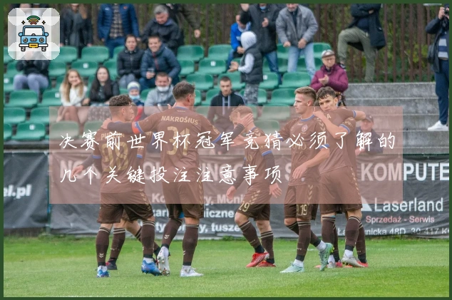 决赛前世界杯冠军竞猜必须了解的几个关键投注注意事项